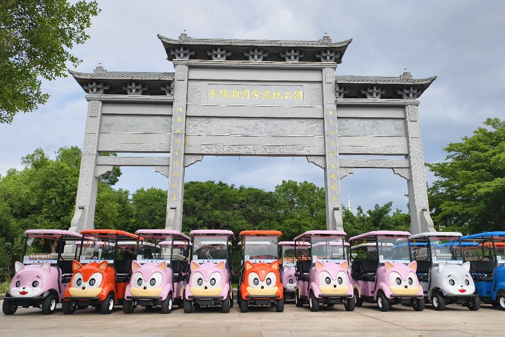 景区扫码代步车.jpg